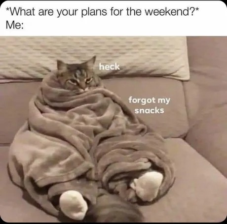 Weekend plans - meme