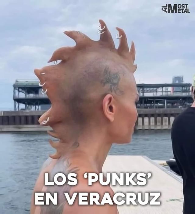 Punks de veracruz - meme