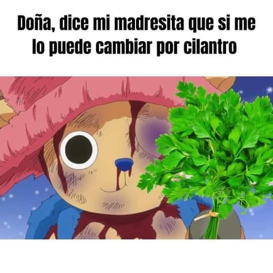 Doña - meme