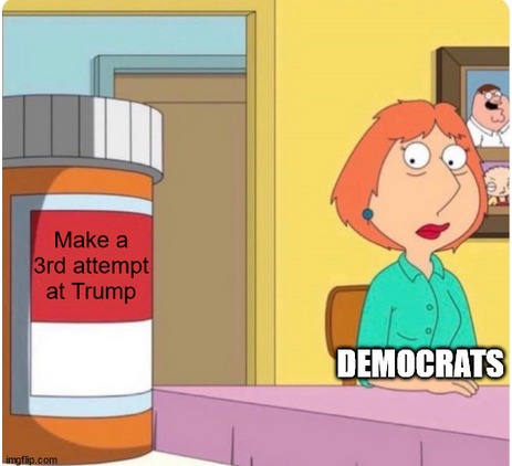 OMG Trump is leading in the polls, What can we do?! - meme