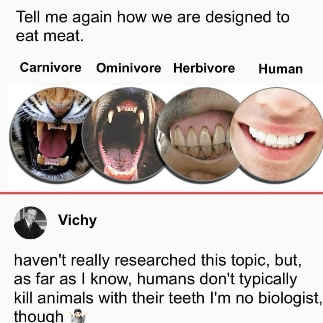 Humans: not carnivores, just confused omnivores - meme
