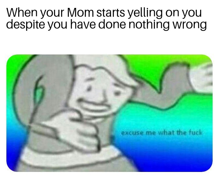 Mom yelling why? - meme