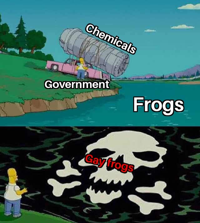 Gay frogs - meme