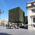 Minecraft tree in real life
