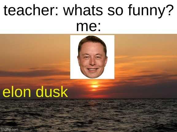 Cursed Elon Musk - meme