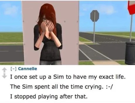 Sims story - meme