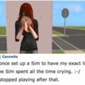 Sims story