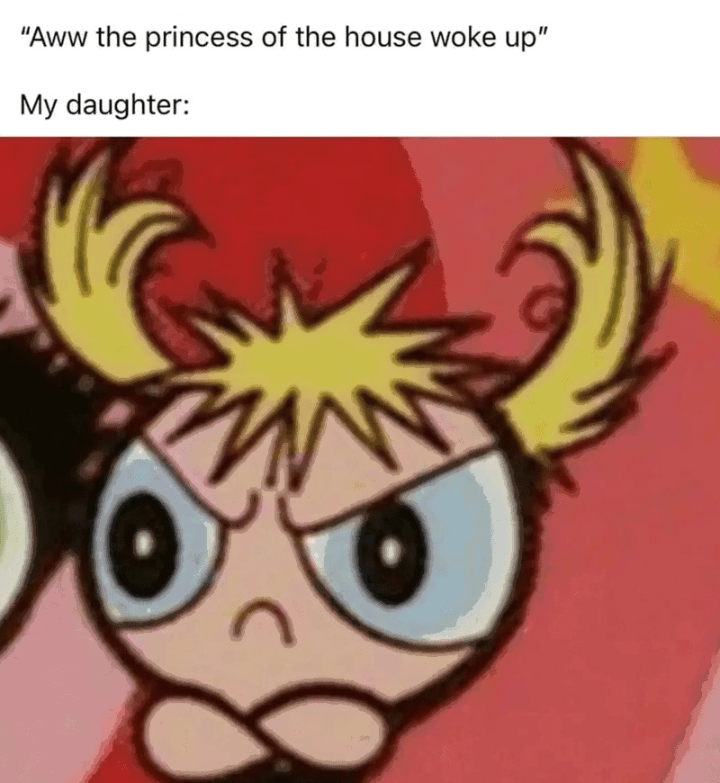 Wake up little sensitive princesses - meme