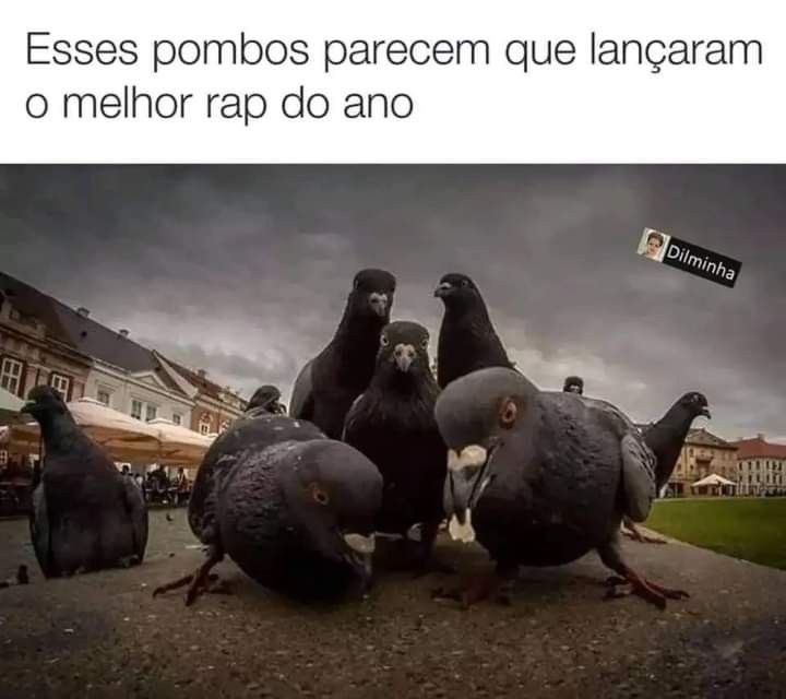 Rap do Amanteigado - meme
