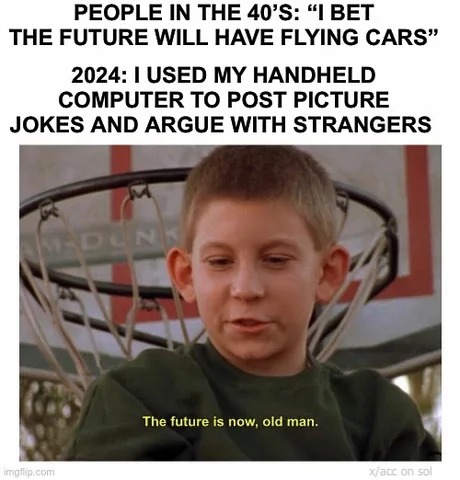 the best of 2024 ngl - meme