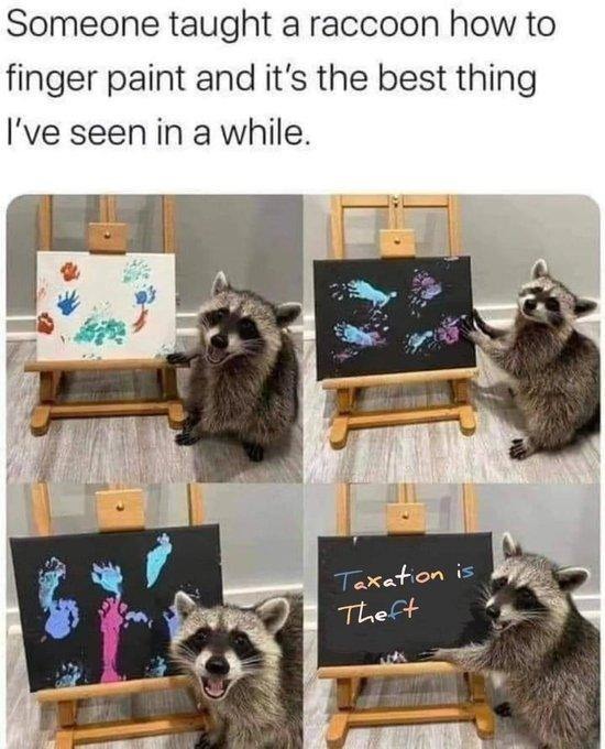 Happy raccoon - meme