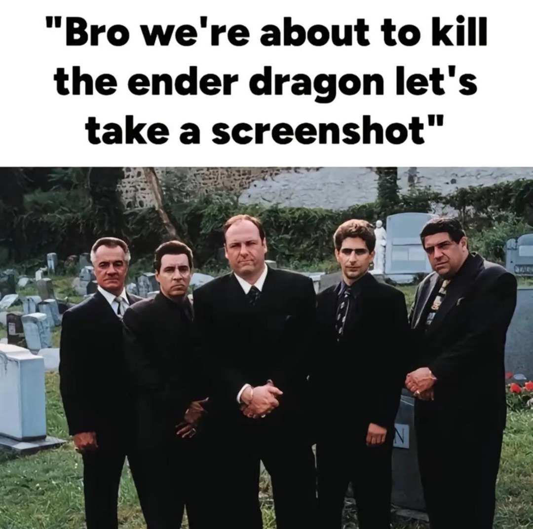 Taking a pic before we all die to the ender dragon - meme