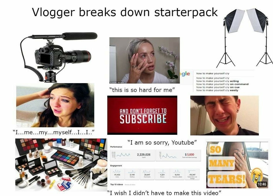 I hate 99% of Vlogger - meme