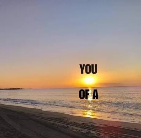 You are the sunshine of my sand - meme
