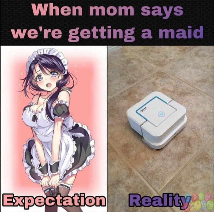 Reality is Disappointing - meme