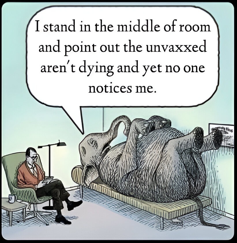 Elephant in the room - meme