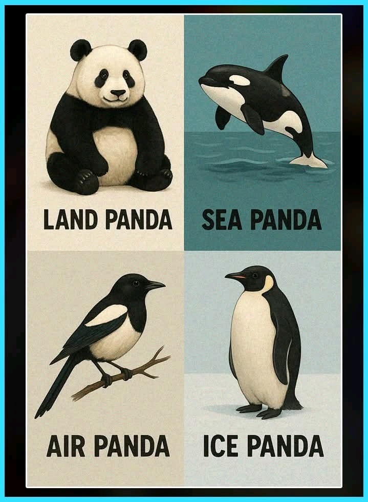 It's a Pandamonium - meme