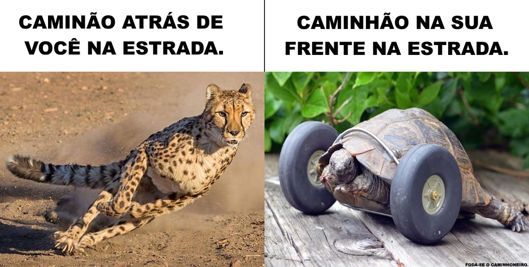 Foda-se o Caminhoneiro. - meme