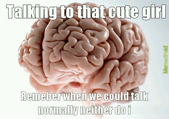 Brain - meme