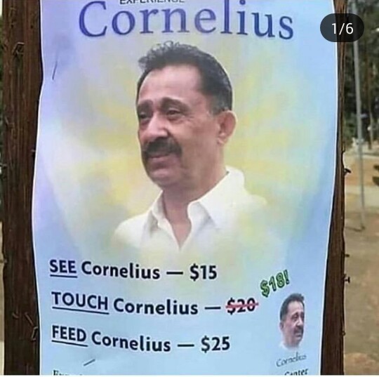Cornelius - meme