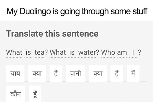 You okay, Duolingo? - meme