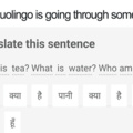 You okay, Duolingo?