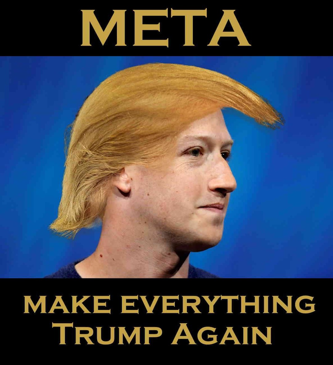 M E T A - meme