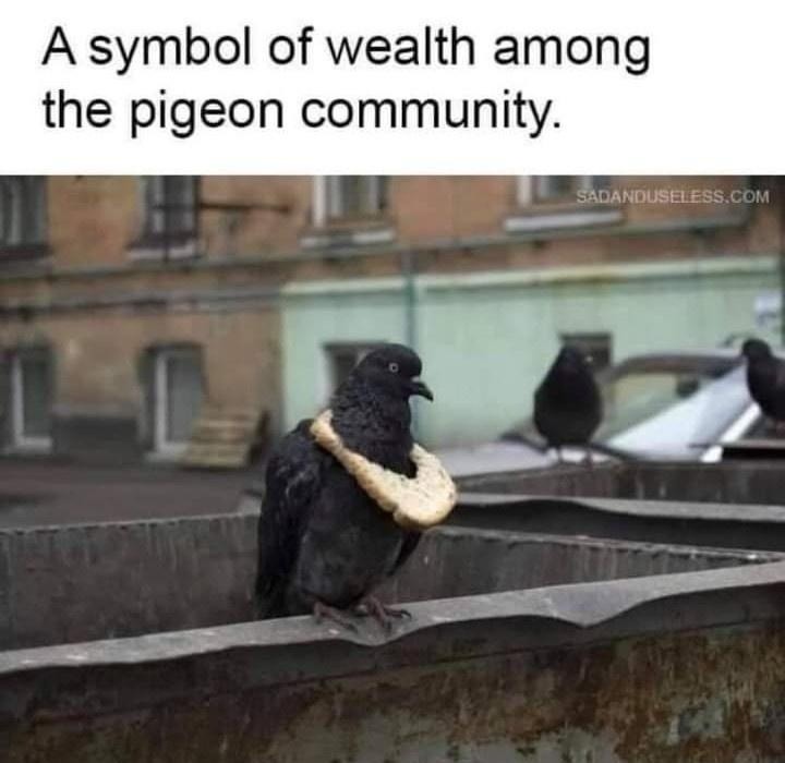 A sign of wealth - meme