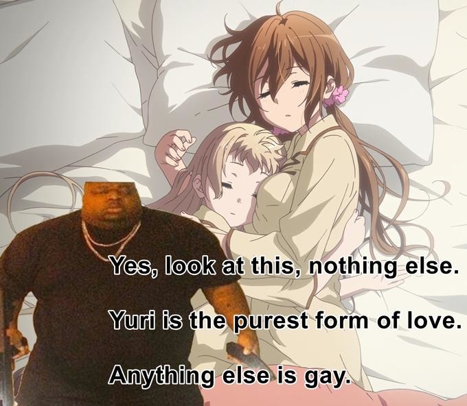 Yuri or you're gay - meme