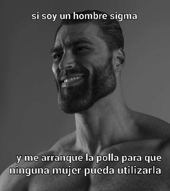 Nadie : los sigma - meme