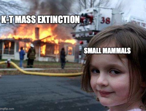 K-T mass extinction - meme