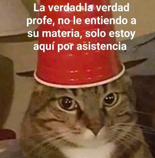 Profe, no entiendo nada, pero estoy aquí por la asistencia - meme