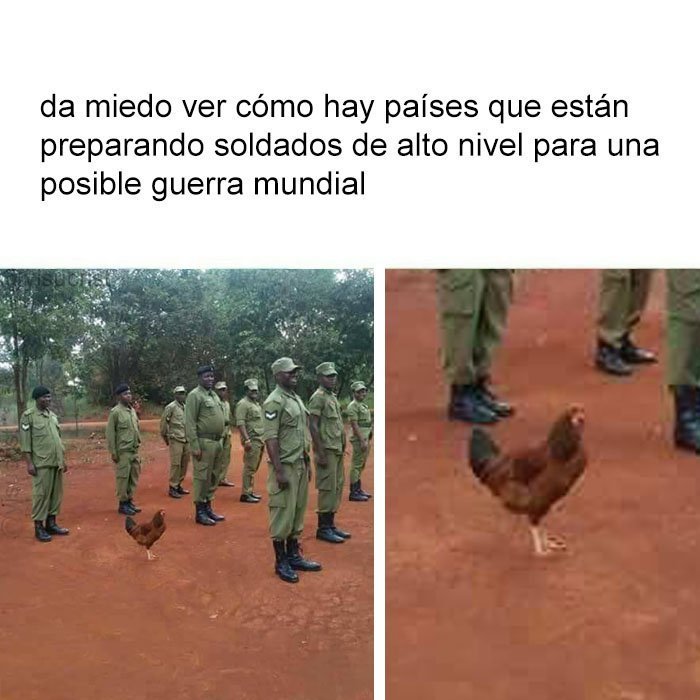 Soldado Chicken Little - meme