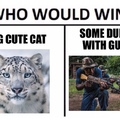 I vote for snow leopard