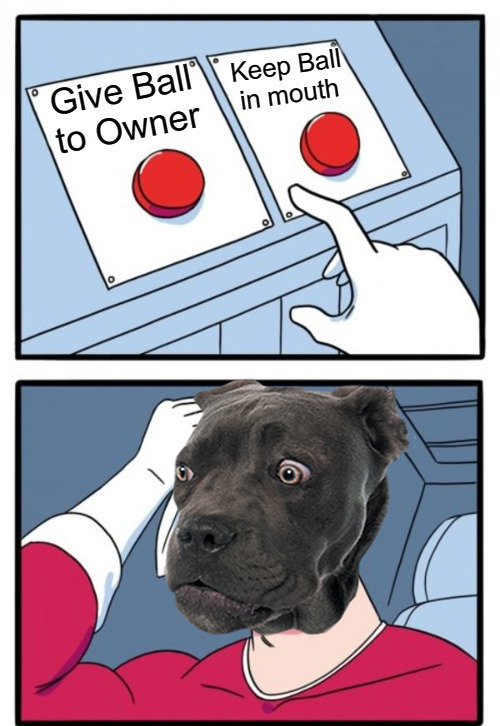 Good boy dilemma - meme