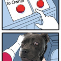 Good boy dilemma