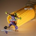 Memes vs. Sanity