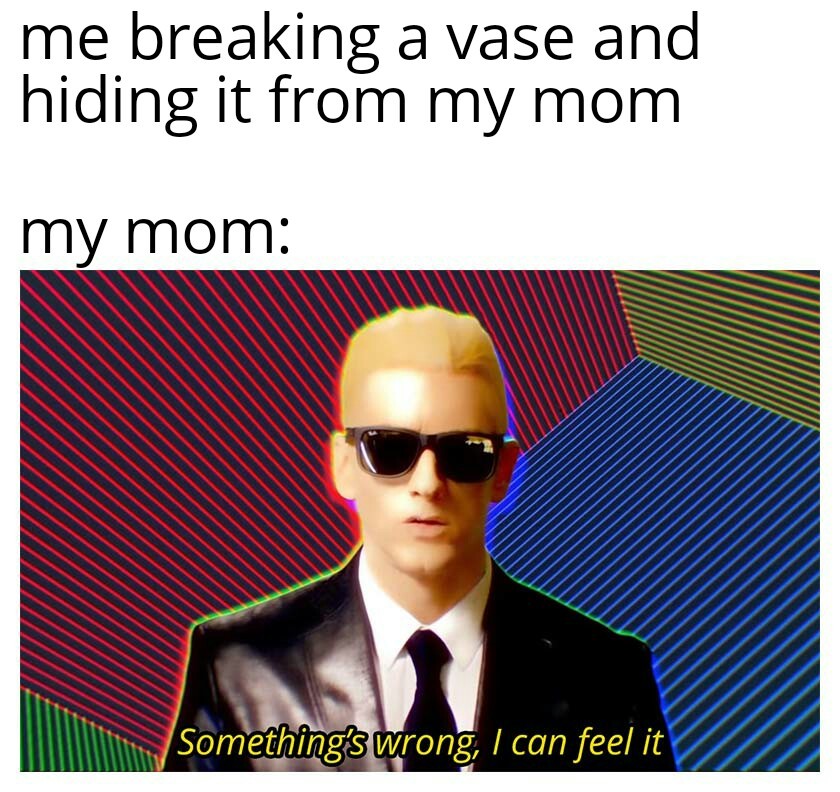 I have never broken a vase - meme