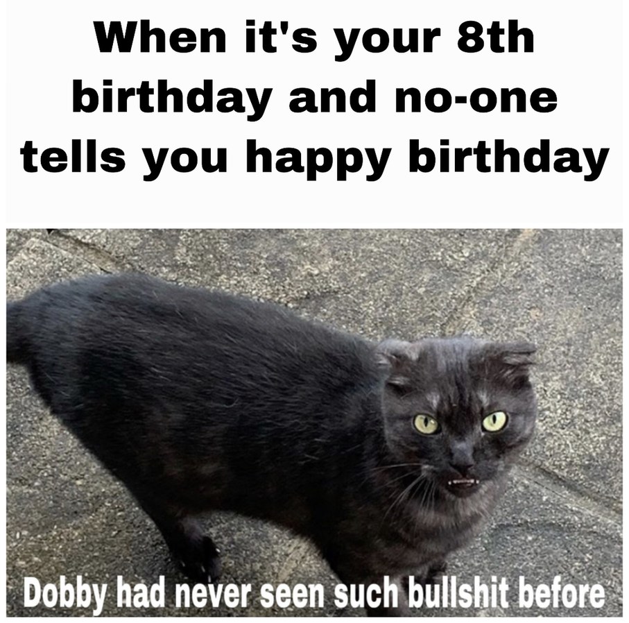 Birthday - meme