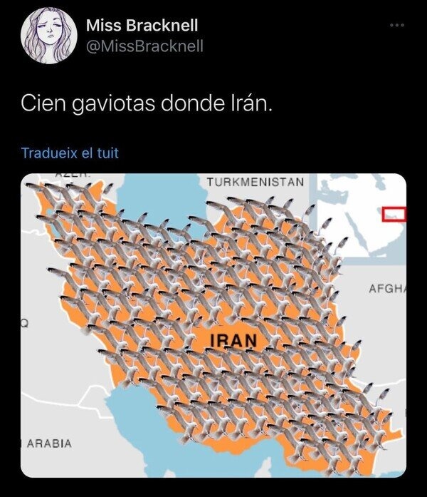 100 gaviotas donde Irán - meme