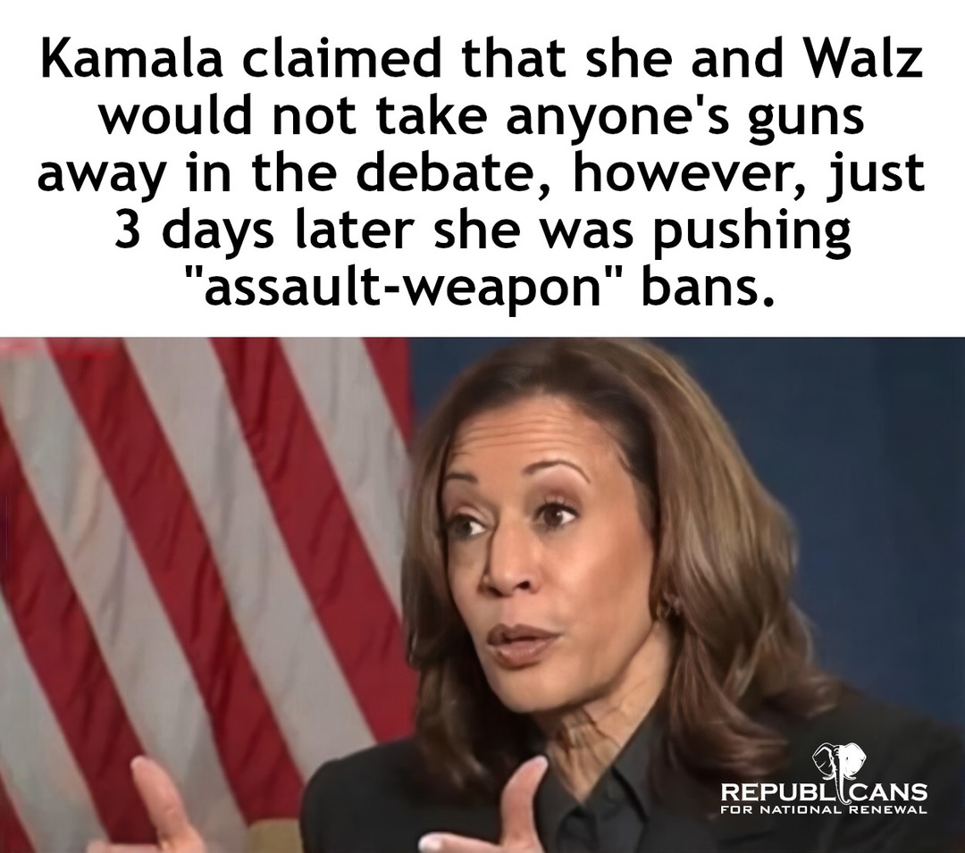 Gun Grabber - meme