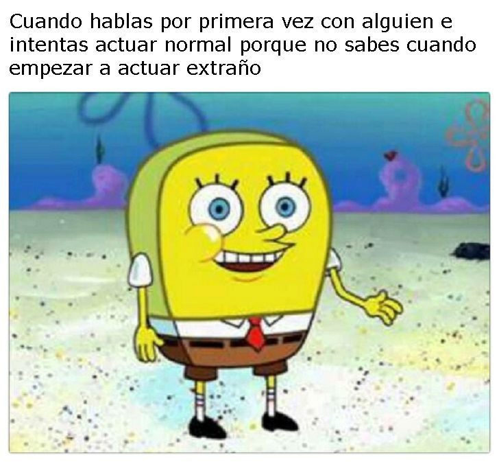 mi primer meme xdxd