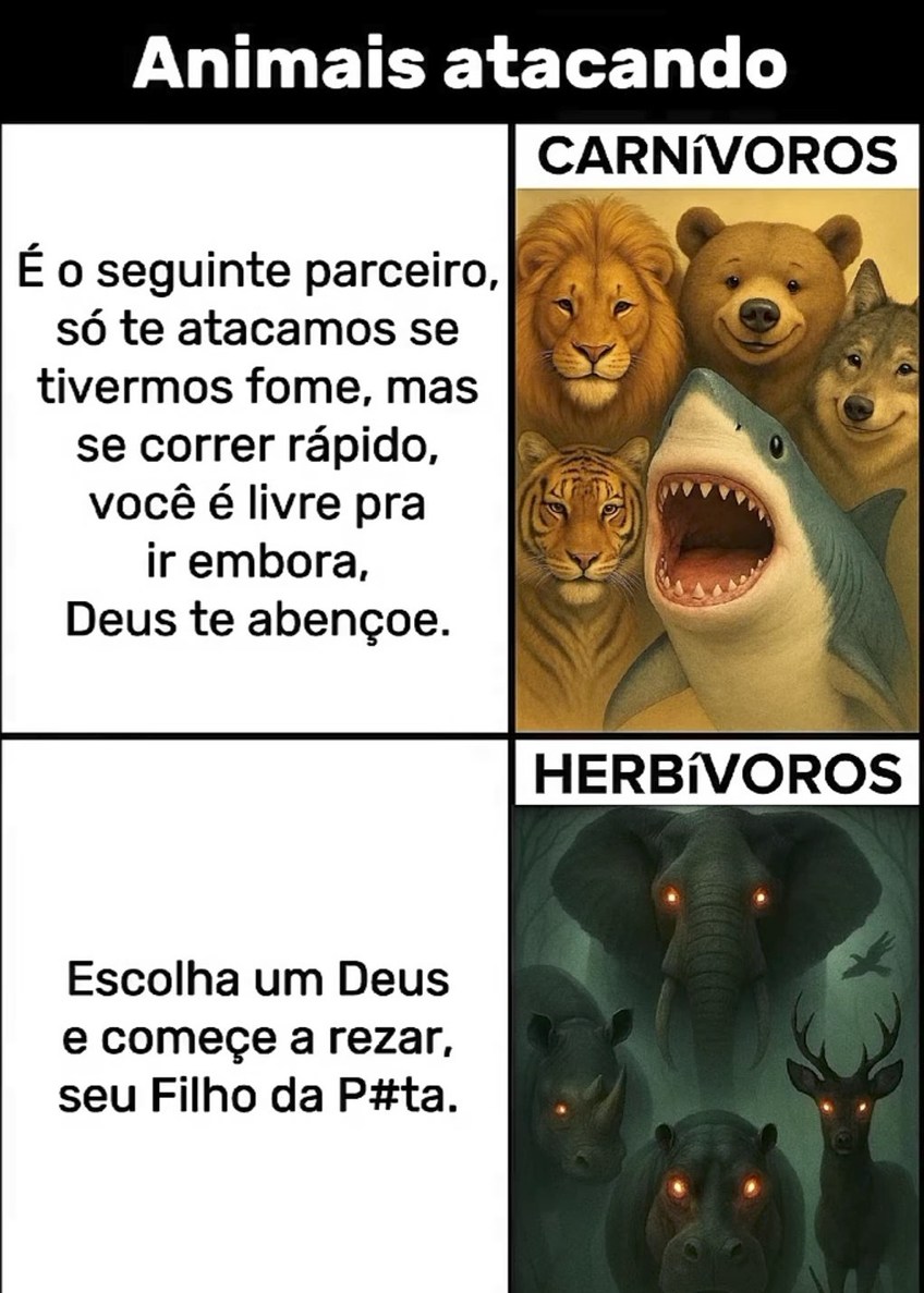 Exatamente - meme