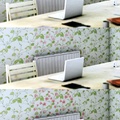 Heat Sensitive Wallpaper