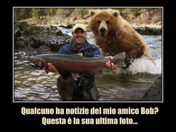bob - meme