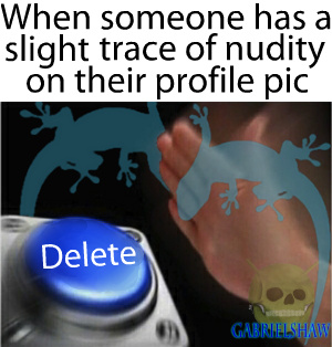 Novagecko is too damn strict for profile pictures - meme