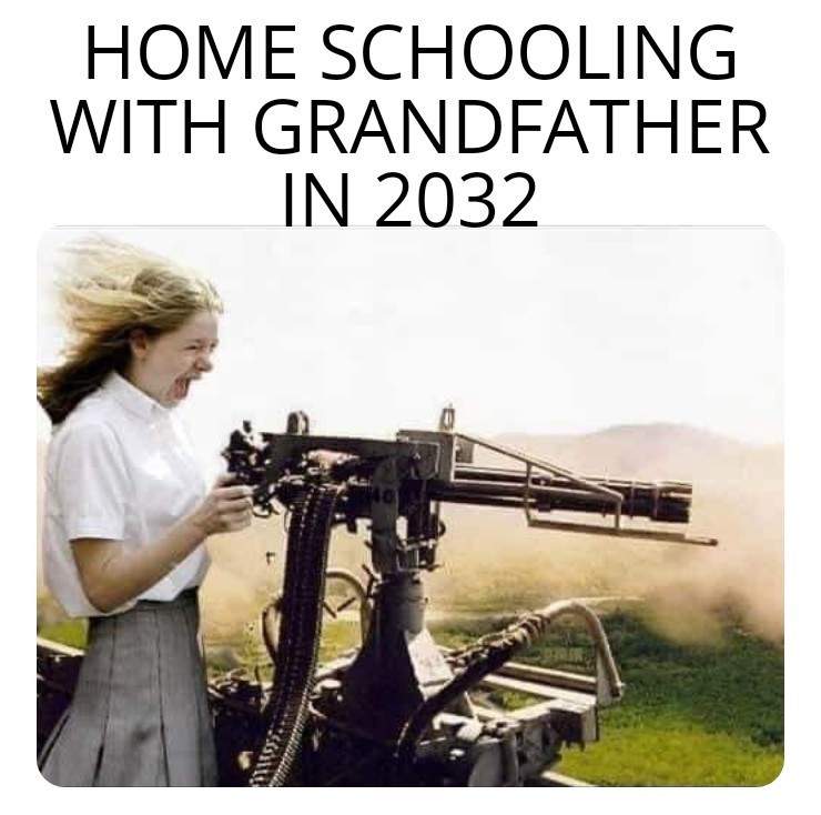 Home schooling - meme