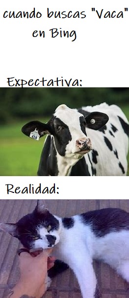 Vacas en Bing es como... - meme