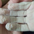 Una mano arrugado