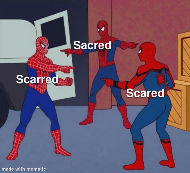 spiderman - meme
